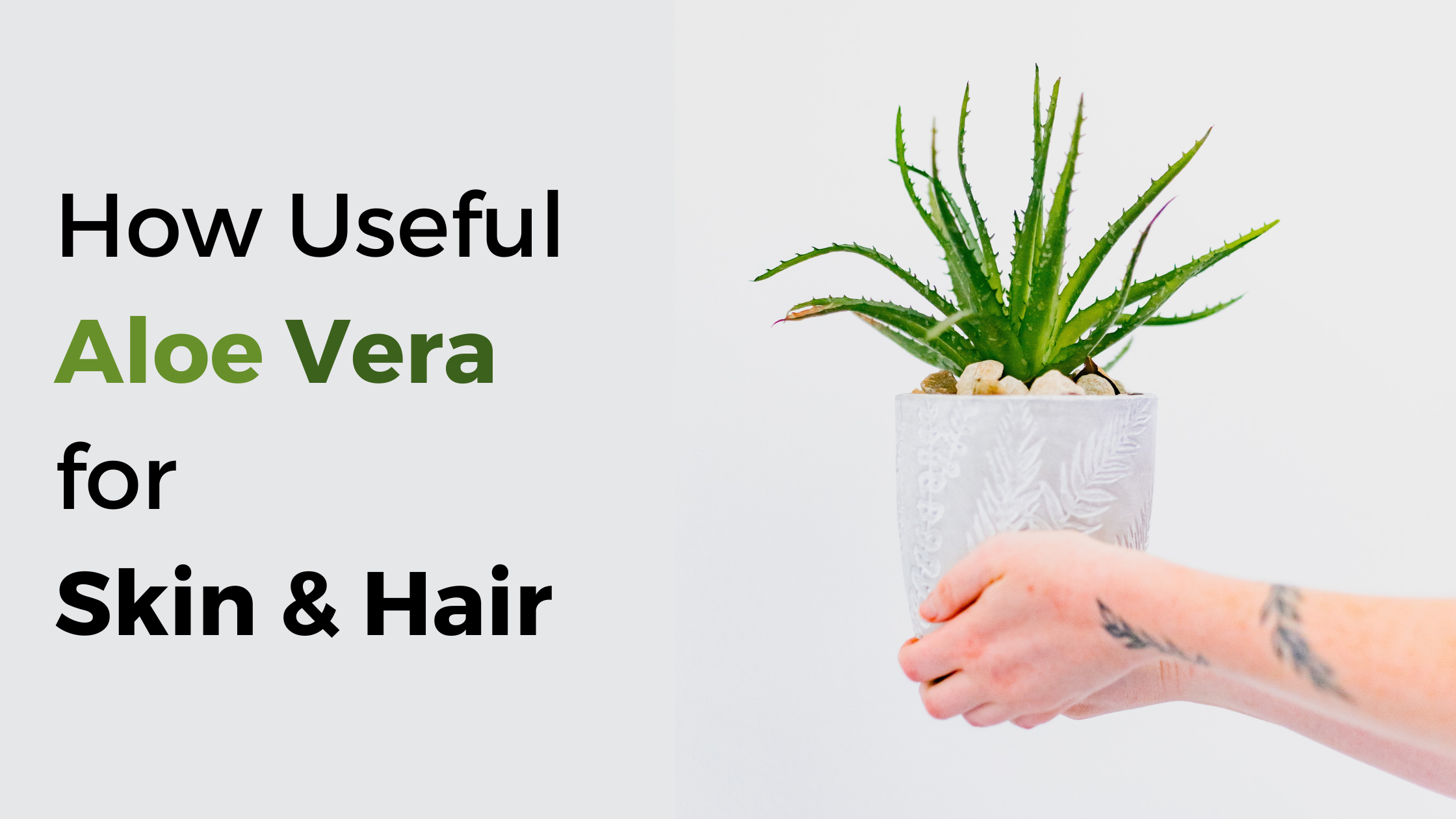How-Useful-Aloe-Vera-For-Skin-Hair